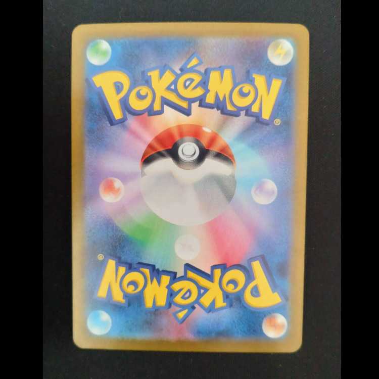 フシギダネ AR 166/165