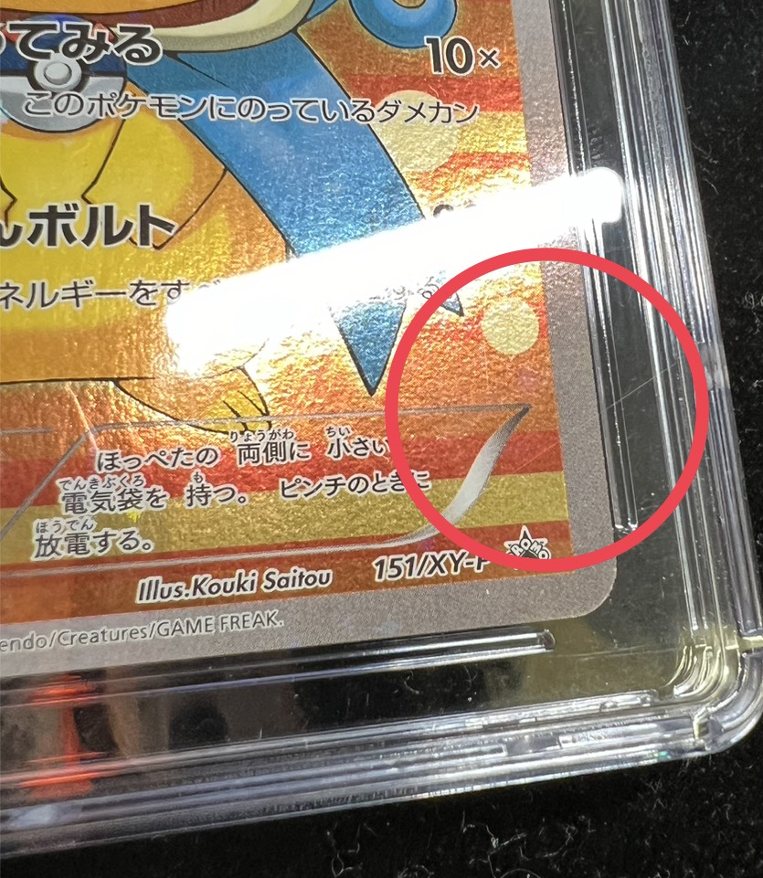 Gyarados Gokko Pikachu [P] {151/XY-P}