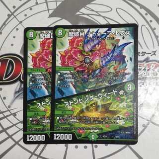 摩破目 ナトゥーラ・トプス｜ストンピング・ウィード