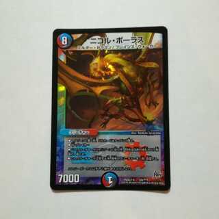 ニコルボーラス