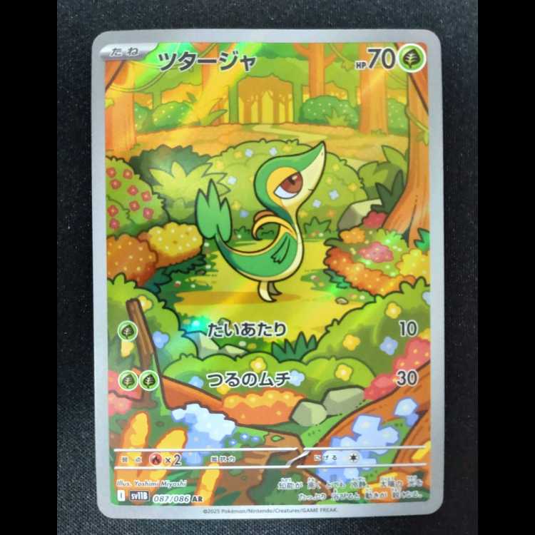 ツタージャ AR 087/086