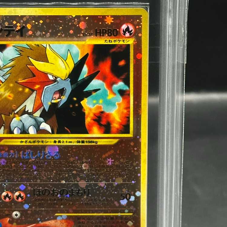 [ARS9] Entei [Premium File 2] [old back].