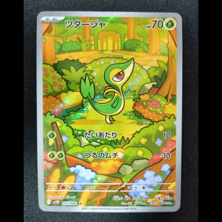 ツタージャ AR 087/086