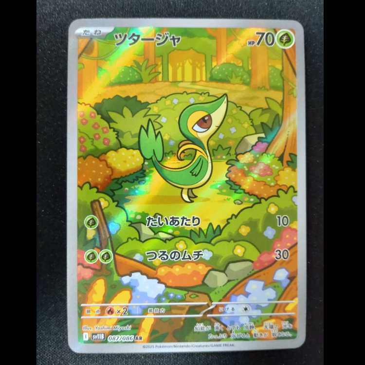 ツタージャ AR 087/086