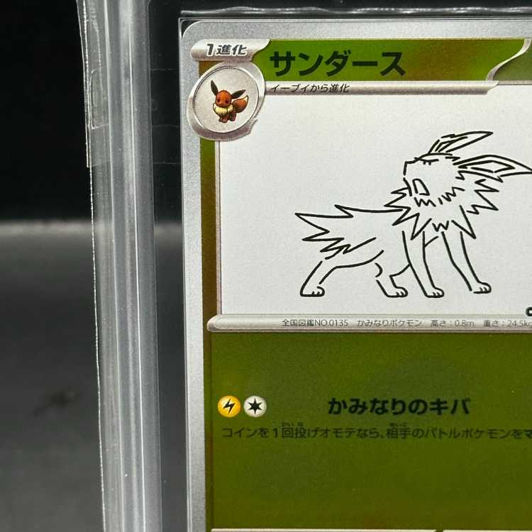 ARS10] Jolteon YU NAGABA Promo, opened PROMO 064/SV-P