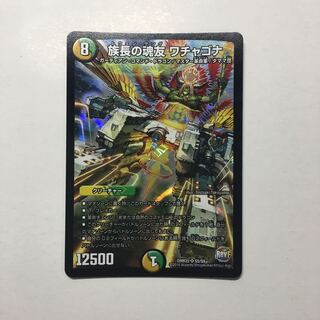 族長の魂友 ワチャゴナ