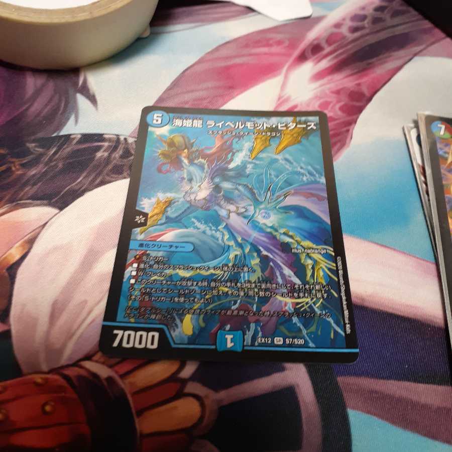 パック様専用 海姫龍 ライベルモット・ビターズ