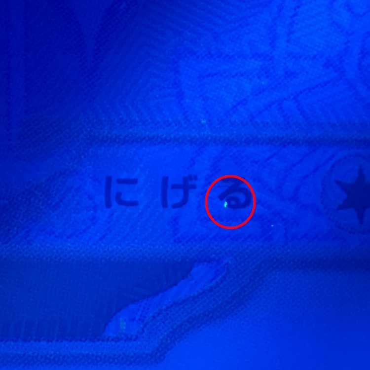 PSA10 Glaceonex SAR 206/187 SV8a Pokémon Card Game Pokéka