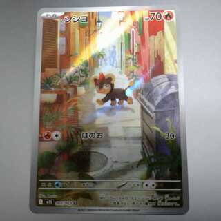 シシコ AR 066/063