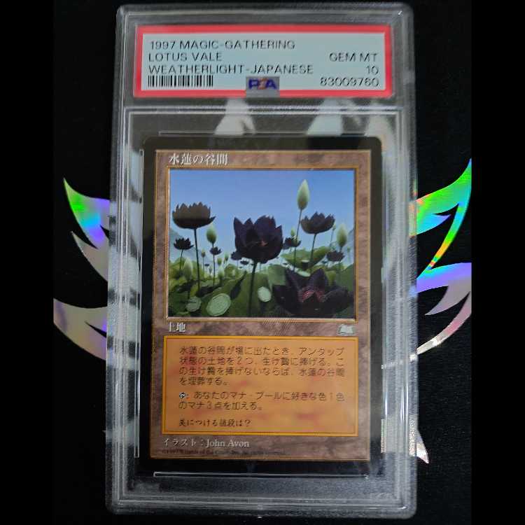 水連の谷間　PSA10