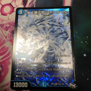 水上第九院 シャコガイル