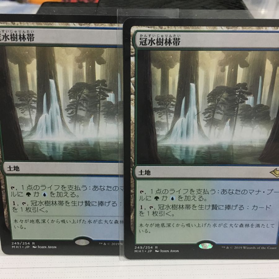 冠水樹林帯 灼陽大峡谷シン専用