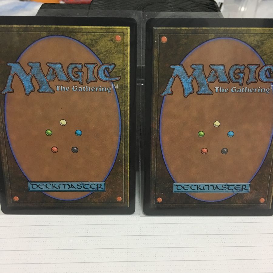 冠水樹林帯 灼陽大峡谷シン専用