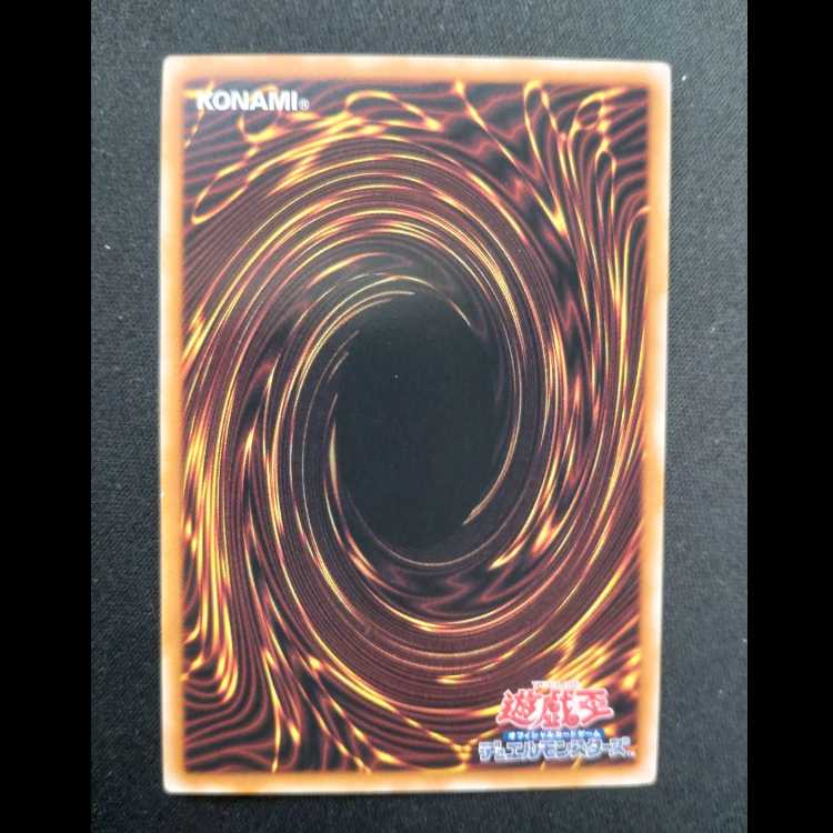 DDD怒涛大王エグゼクティブ・シーザー ノーマル24TP-JP408