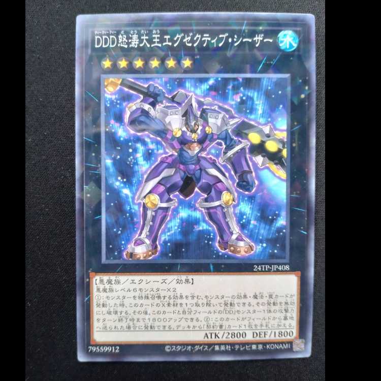 DDD怒涛大王エグゼクティブ・シーザー ノーマルパラレル24TP-JP408