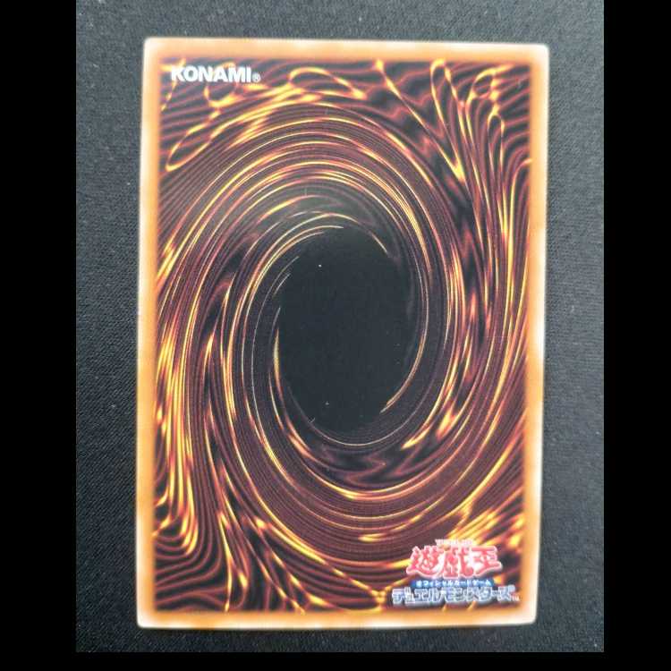 DDD怒涛大王エグゼクティブ・シーザー ノーマルパラレル24TP-JP408