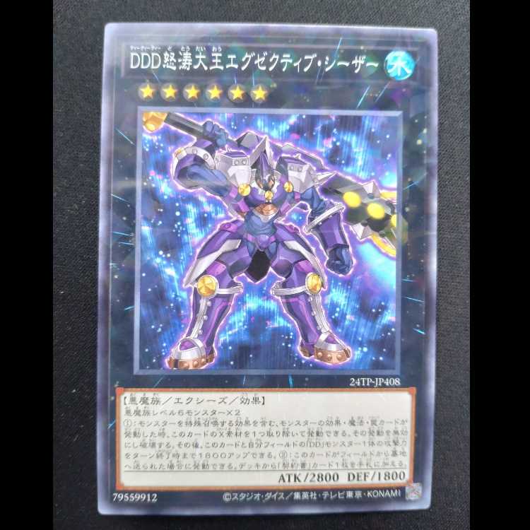 DDD怒涛大王エグゼクティブ・シーザー ノーマル24TP-JP408