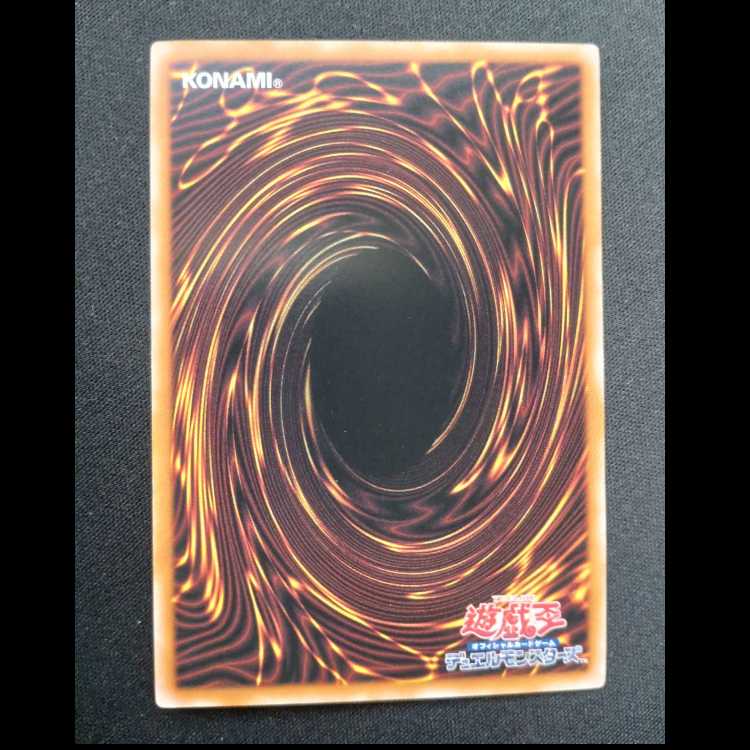 DDD怒涛大王エグゼクティブ・シーザー ノーマル24TP-JP408