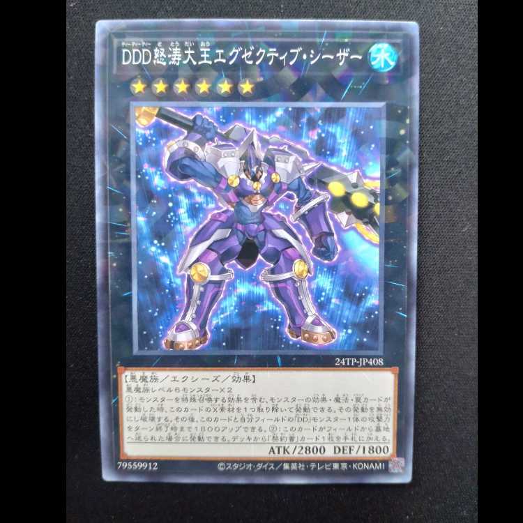 DDD怒涛大王エグゼクティブ・シーザー ノーマル24TP-JP408