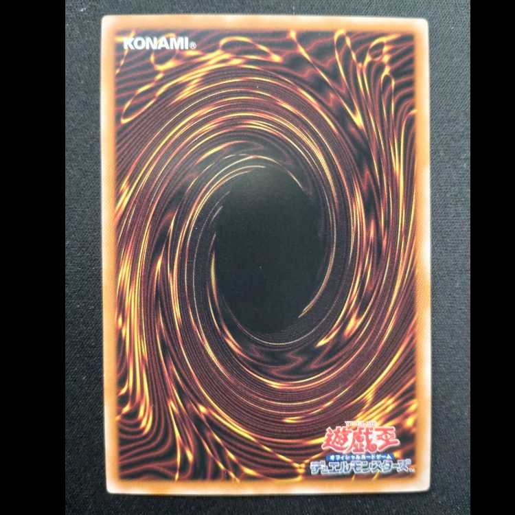 DDD怒涛大王エグゼクティブ・シーザー ノーマル24TP-JP408