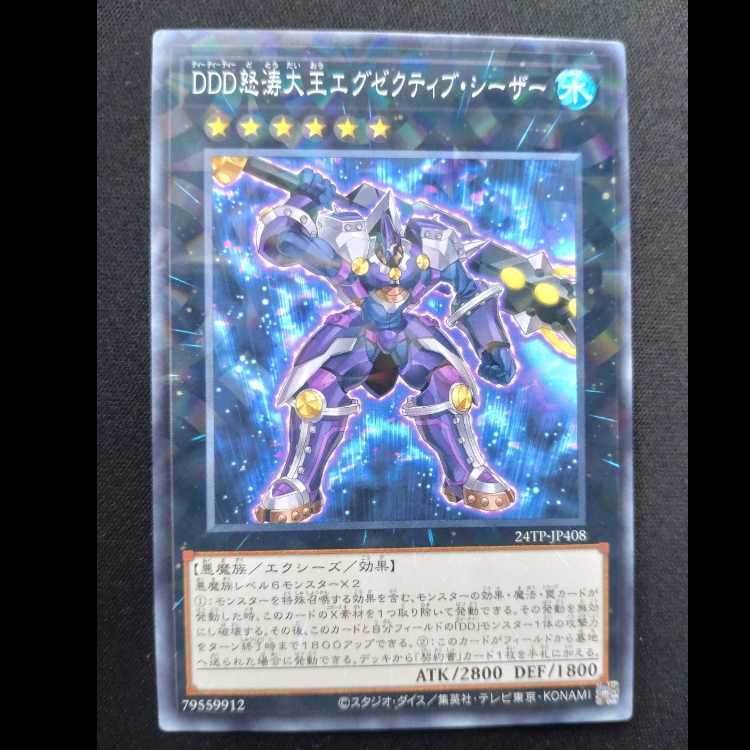 DDD怒涛大王エグゼクティブ・シーザー ノーマル24TP-JP408