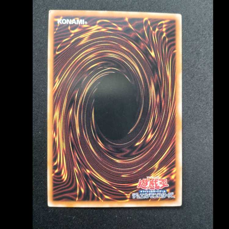 DDD怒涛大王エグゼクティブ・シーザー ノーマル24TP-JP408