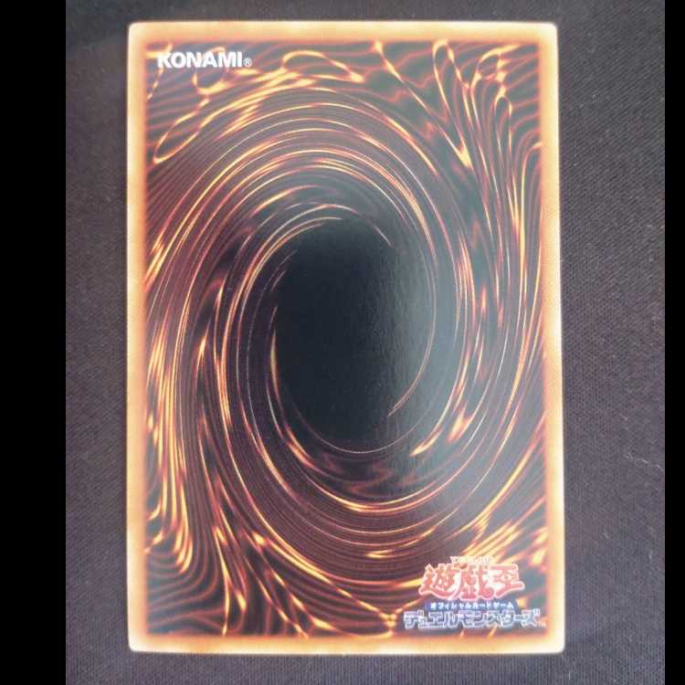 共命の翼ガルーラ ノーマル TT01-JPC28