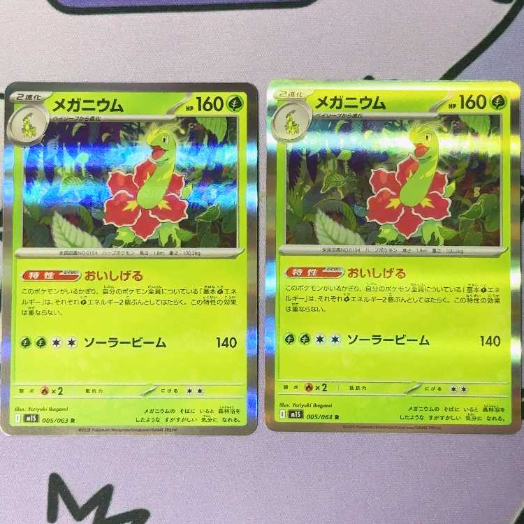 Meganium R 005/063