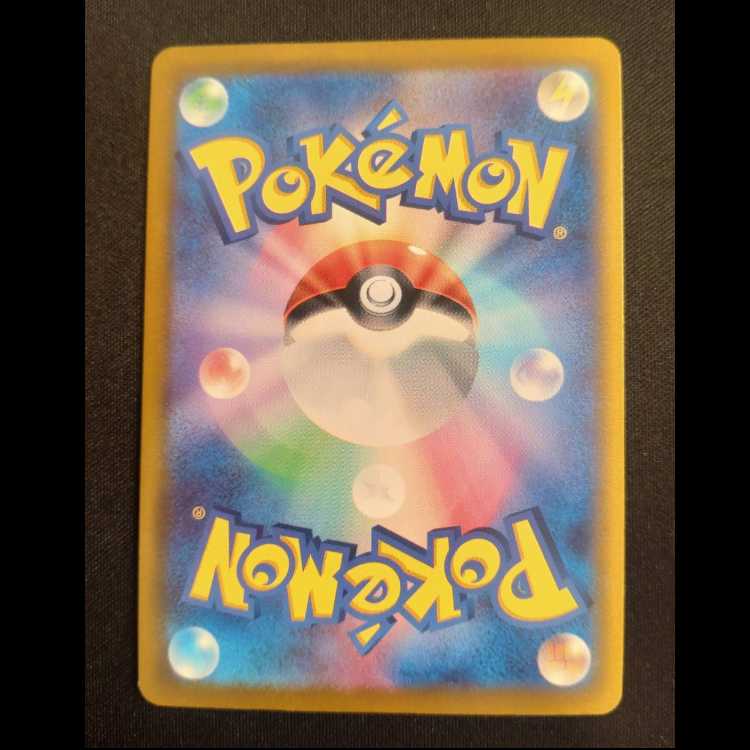 Trainers' Mail PROMO 223/SV-P