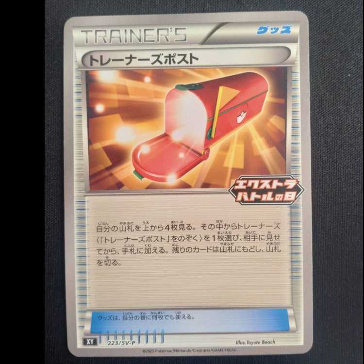 Trainers' Mail PROMO 223/SV-P