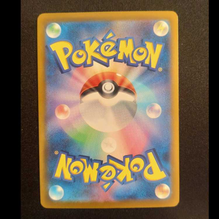 Trainers' Mail PROMO 223/SV-P