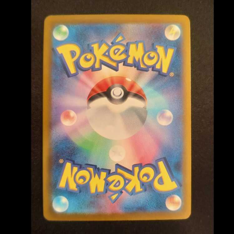 Muscle Band PROMO 228/SV-P