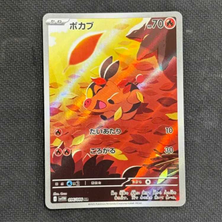 状態B　ポカブ AR 096/086