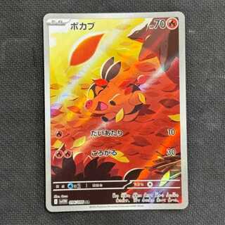 状態B　ポカブ AR 096/086