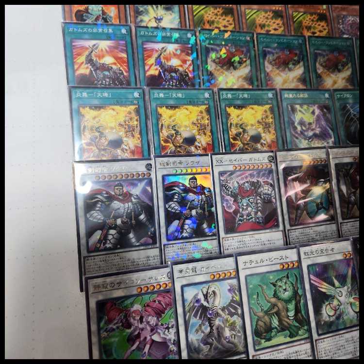 Mountainya same day shipping X-Saber Deck pre-built deck Souza X-Saber Gatoms Saber Combination X-Saber Bruno