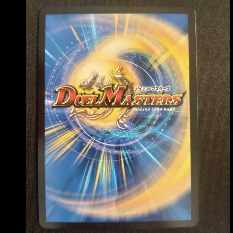 R.S.F.K.|All-in Charger VR 8/14