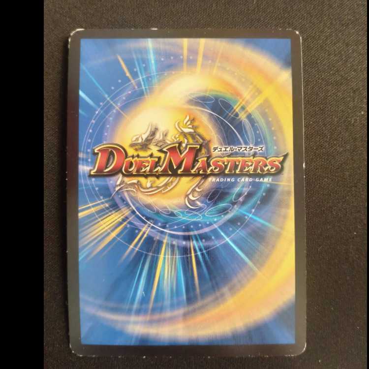 R.S.F.K.｜All-in Charger VR 30/130