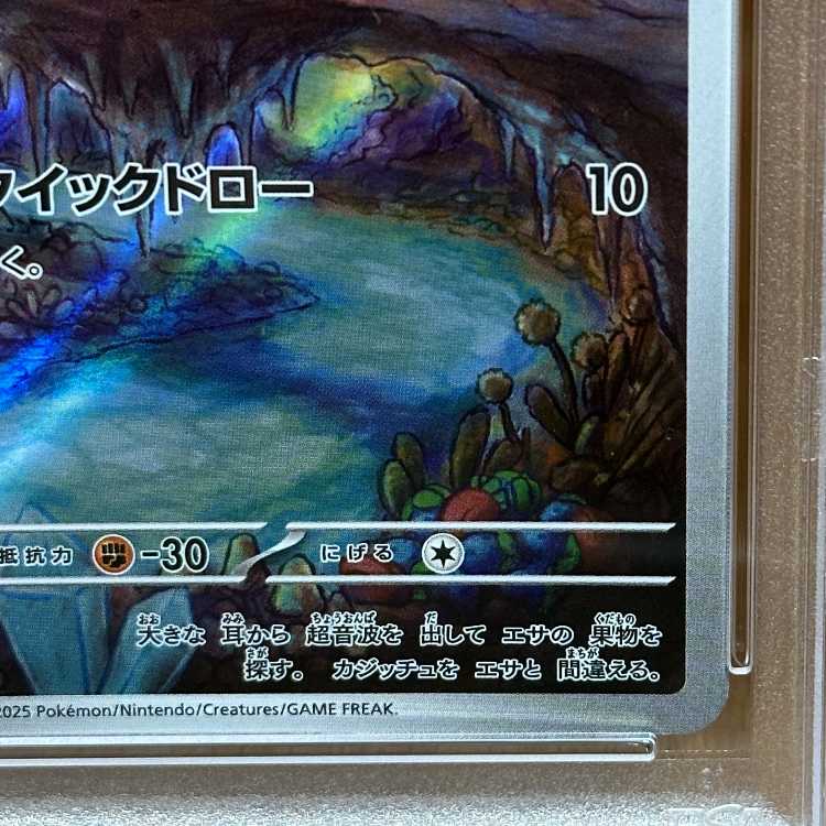 PSA10 Noibat AR 111/100 SV9 Pokémon Card Game Pokéka