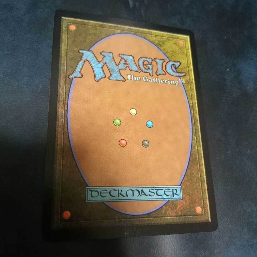 サメ台風 日本語版 1枚