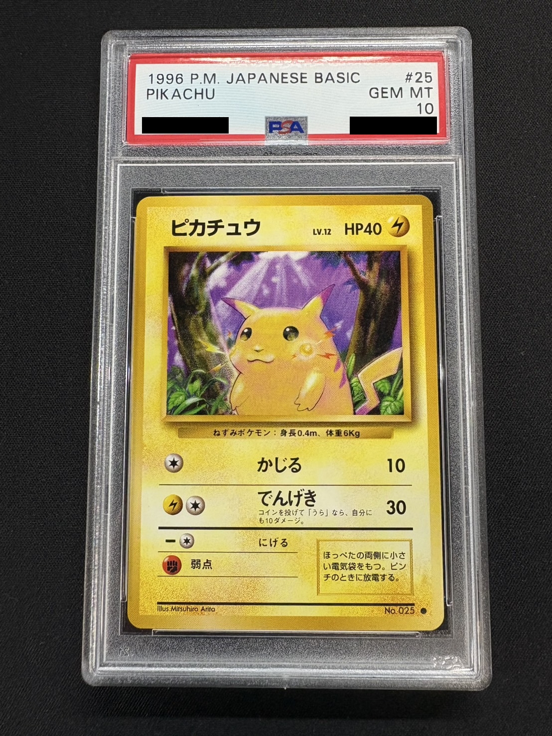 〔PSA10鑑定済〕ピカチュウLV.12(マークあり)【-】{旧裏}