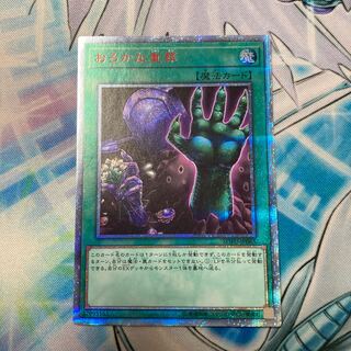 【傷アリ特価】おろかな重葬　20th