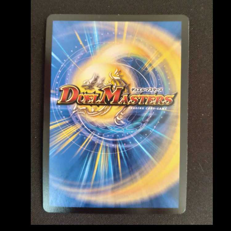 Pokuchin Chin SR 9/84