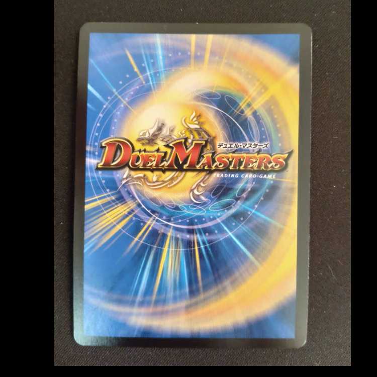 Pokuchin Chin SR 9/84