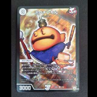 Pokuchin Chin SR 9/84