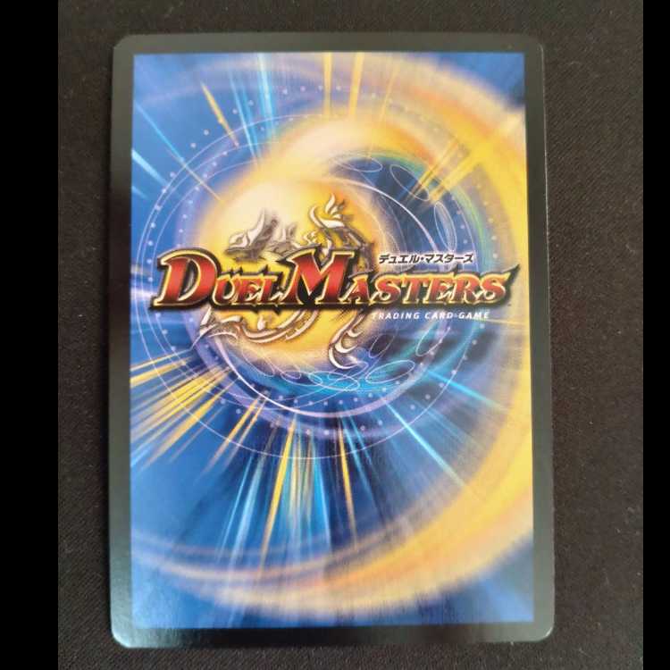 Pokuchin Chin SR 9/84