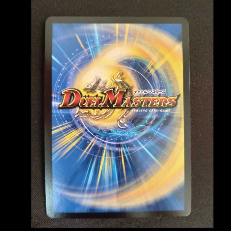 Pokuchin Chin SR 9/84