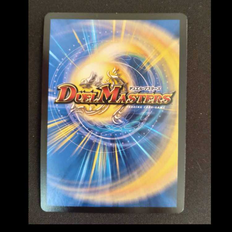 Pokuchin Chin SR 9/84