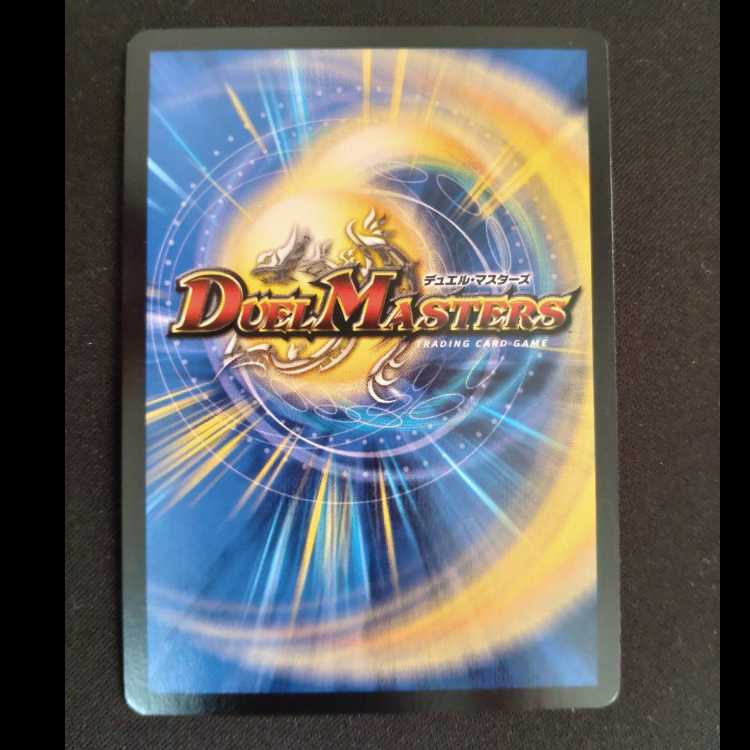 Pokuchin Chin SR 9/84