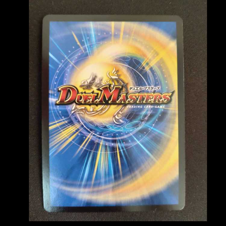 Pokuchin Chin SR 9/84