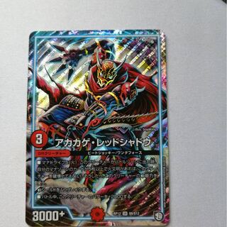 アカカゲ・レッドシャドウ